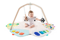 The Play Gym