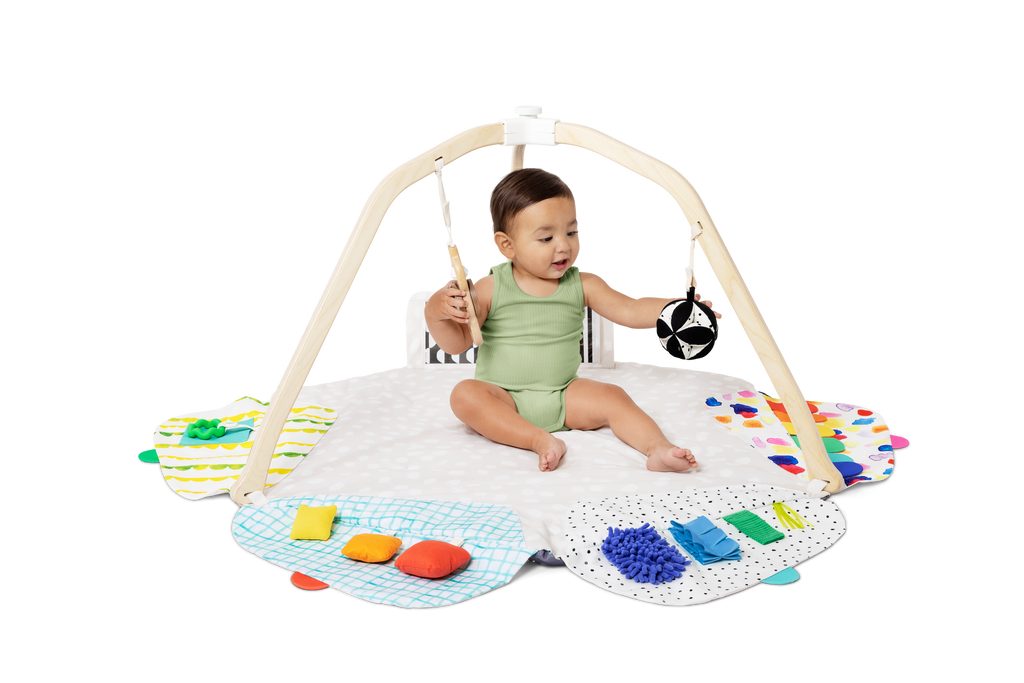The Play Gym